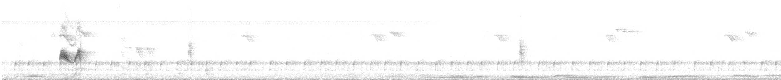 Greenish Elaenia - ML642450388