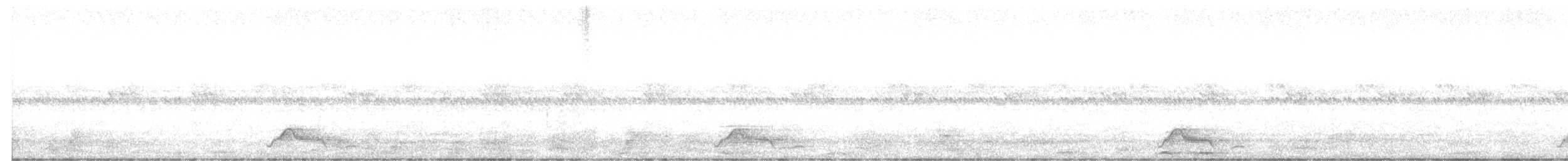 pauraquenattravn - ML642450461