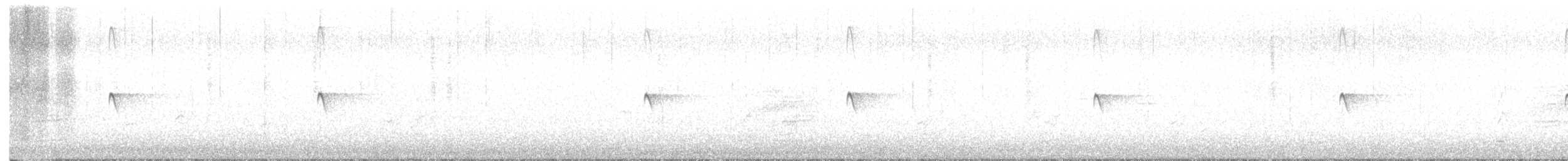 Black Phoebe - ML642450736