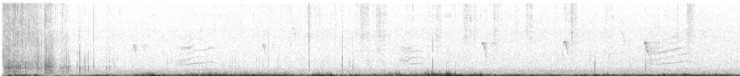 Black Phoebe - ML642451069