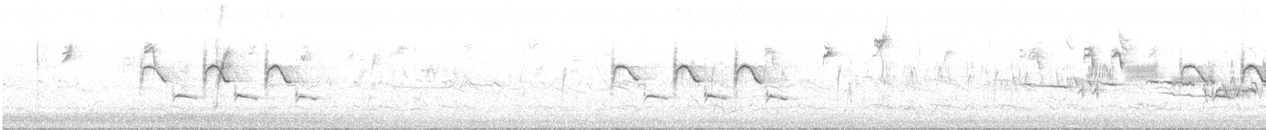 Troglodyte de Bewick - ML642452230
