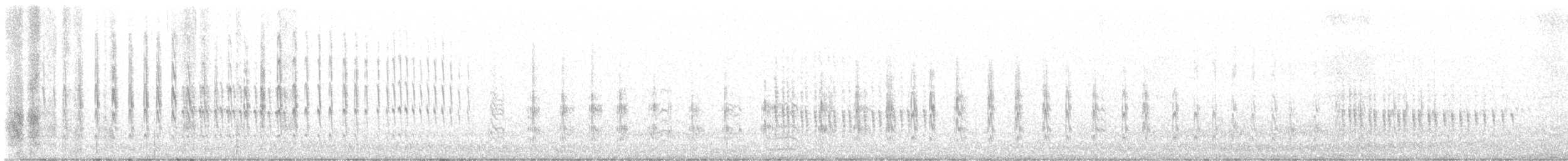 Belted Kingfisher - ML642454385