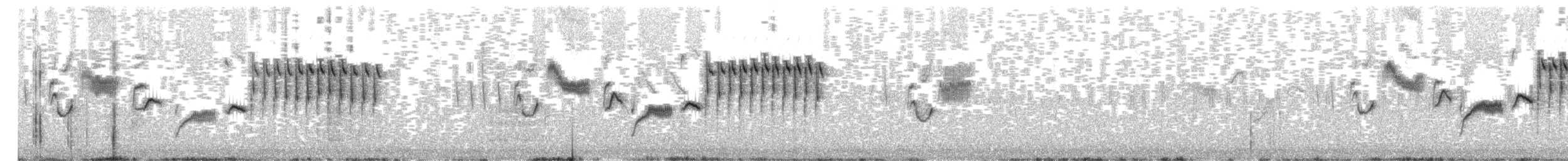 Grass Wren - ML642454413