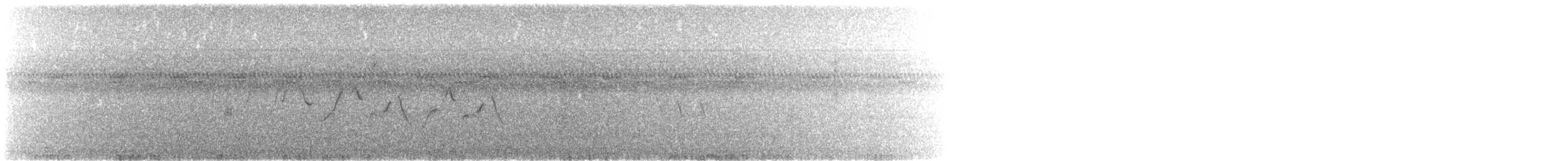nordgulstrupe - ML642454788