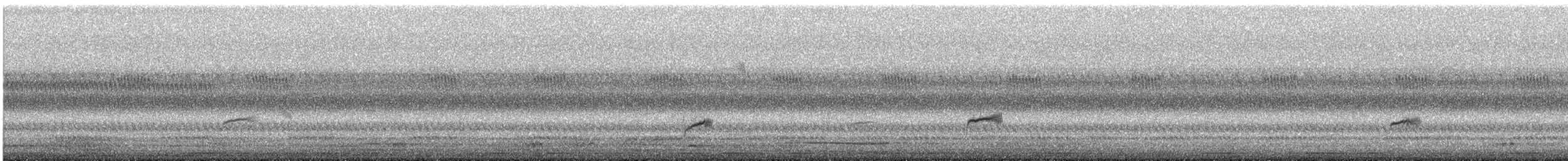 drozd západní - ML642455900