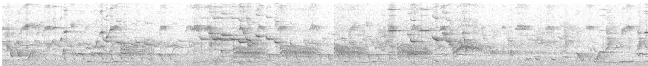 hvitbryntrillefugl - ML642456298