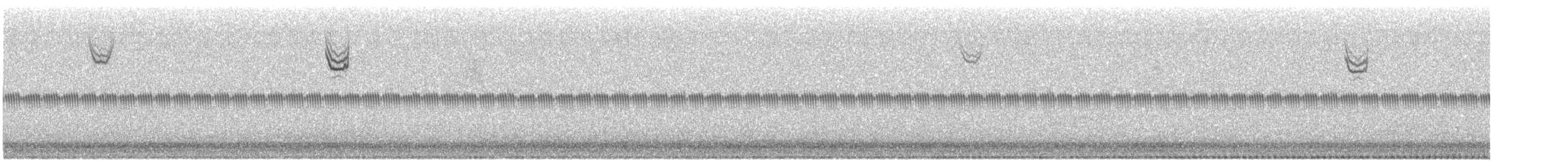 new world sparrow sp. - ML642456729