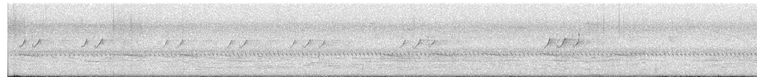 Solitary Sandpiper - ML642456958