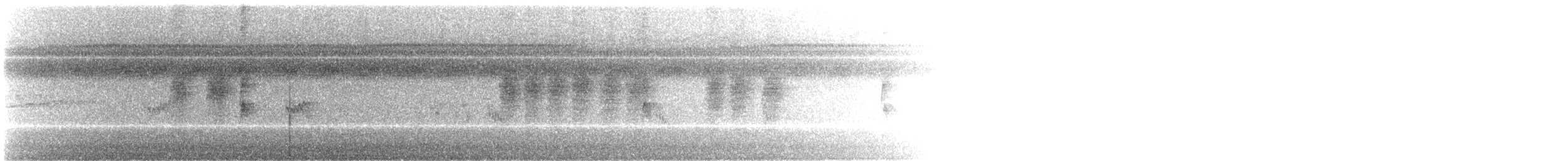 pygmésnipe - ML642457584