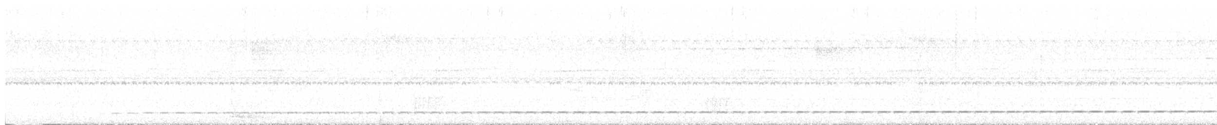 Such's Antthrush - ML642459172