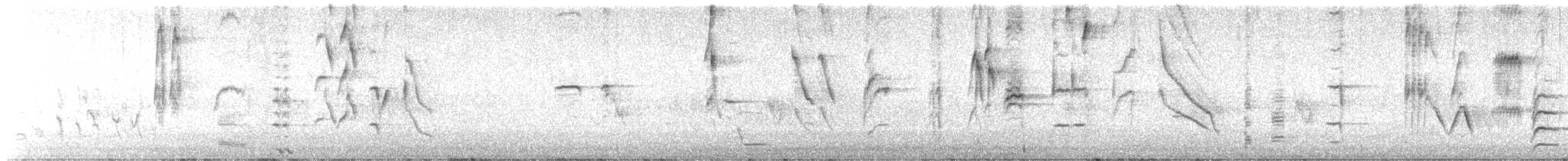 Tui - ML642460821