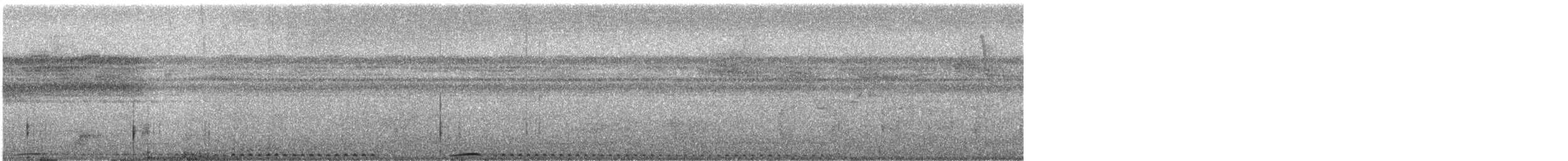 Whooping Motmot - ML642460878