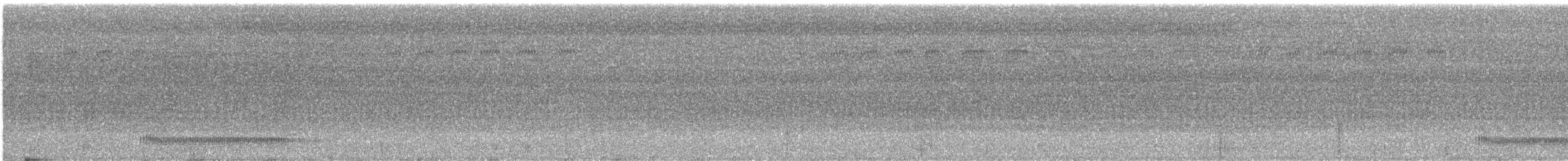 Southern Bentbill - ML642461055