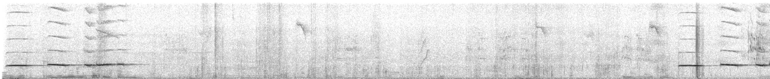 Pheasant Cuckoo - ML642463363