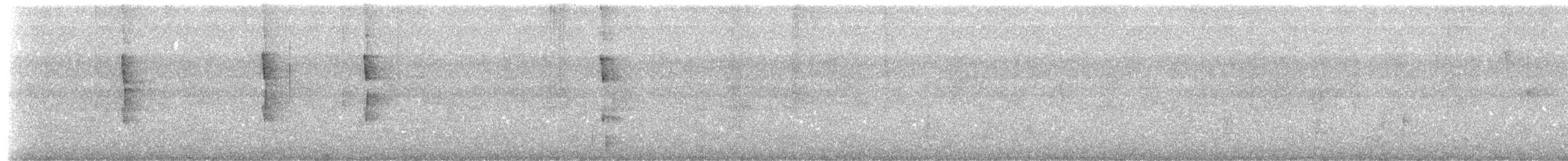 Mottle-cheeked Tyrannulet - ML642466001