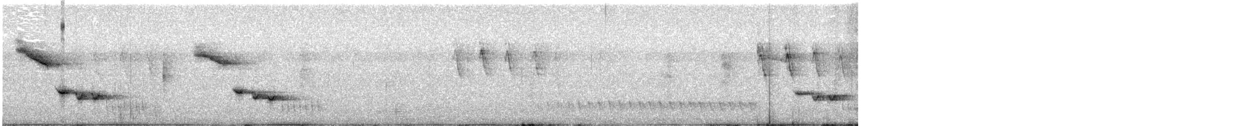 Brown Thornbill - ML642466298