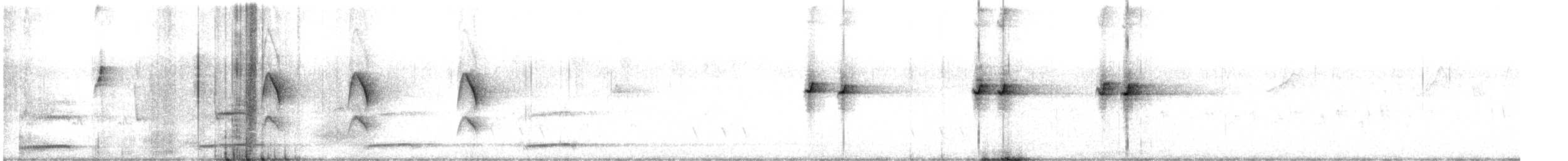 White-throated Honeyeater - ML642468190