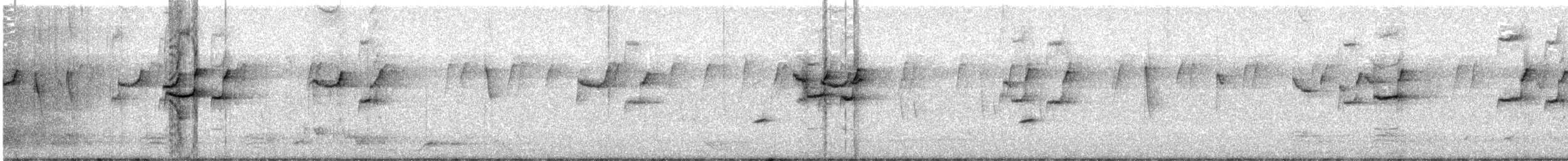 Varied Sittella - ML642468258