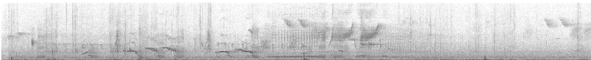 Satin Bowerbird - ML642468283