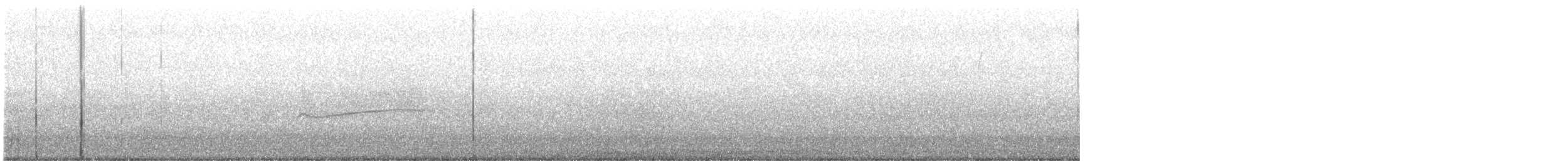 Hellbauch-Schnäppertyrann - ML642470446