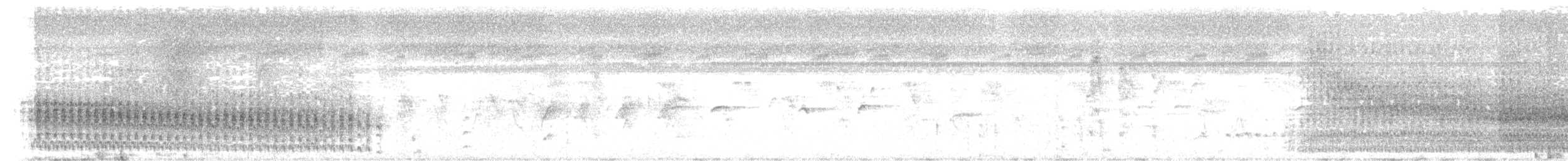 White-throated Crake - ML642470938