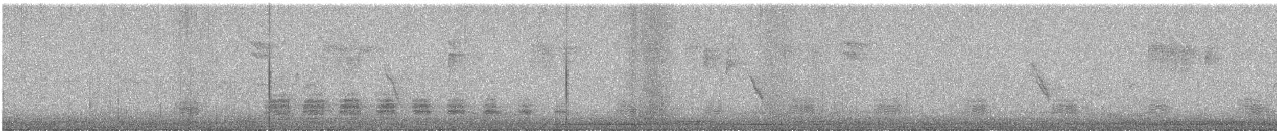Canard colvert - ML642471289