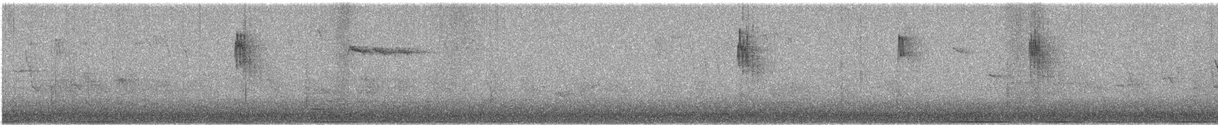 Сүүлт хөх бух - ML642471306