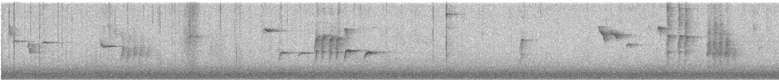 Их хөх бух - ML642471314