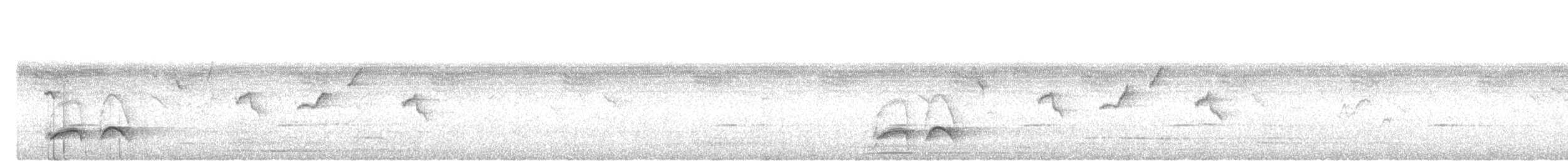 Ornate Pitta - ML642471738