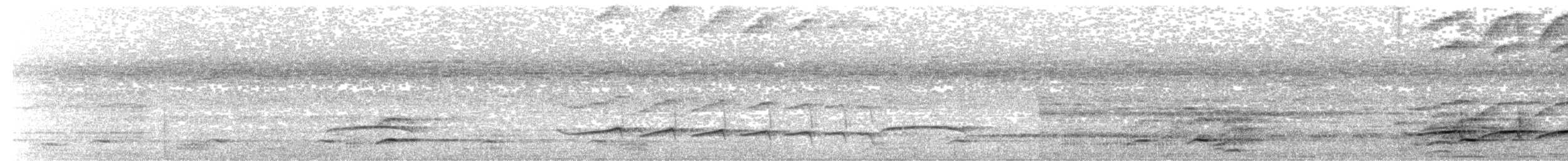 Xingu Scythebill - ML642472242