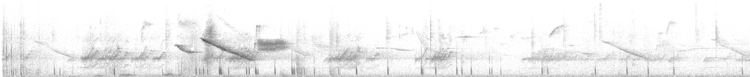 Spot-winged Parrotlet - ML642473117