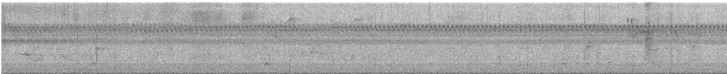 Wanderdrossel - ML642473346