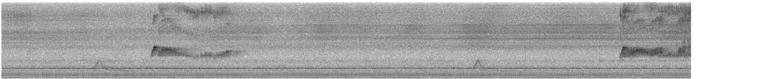 pauraquenattravn - ML642473588