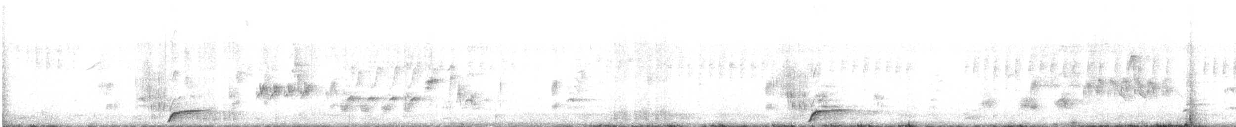 Musk Duck - ML642473724