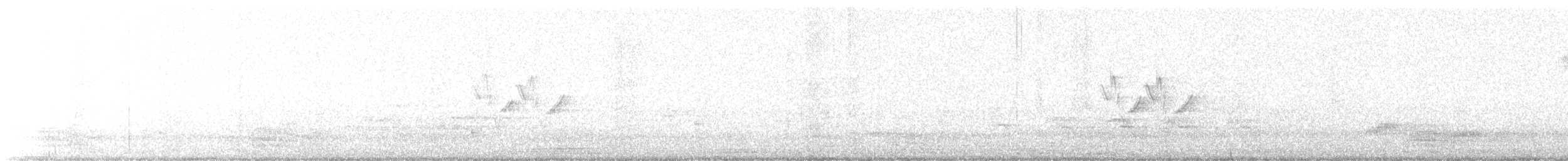 Bergeronnette indienne - ML642474142