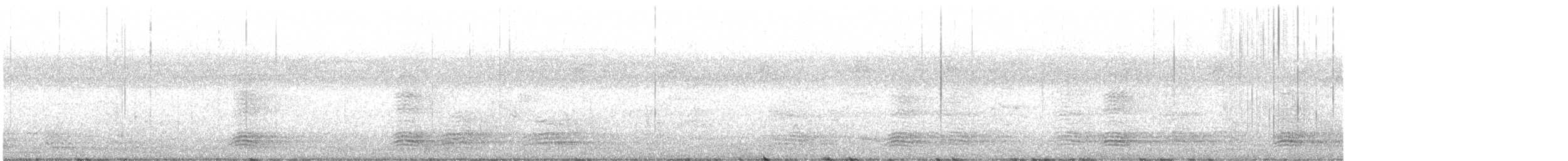 Torresian Crow - ML642474378