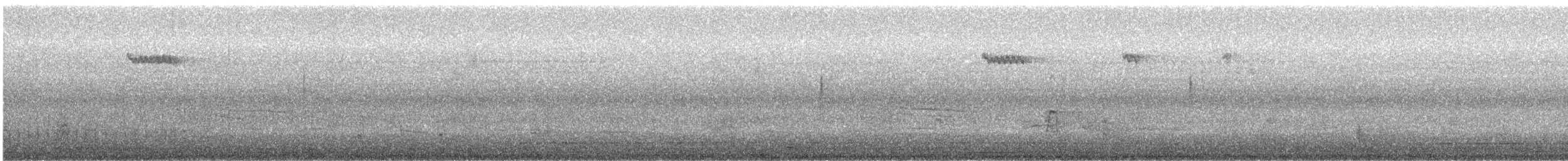 Brown Creeper - ML642477191