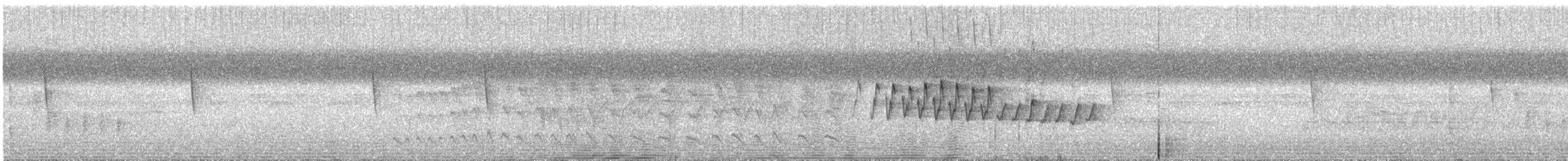 Pine Warbler - ML642478135