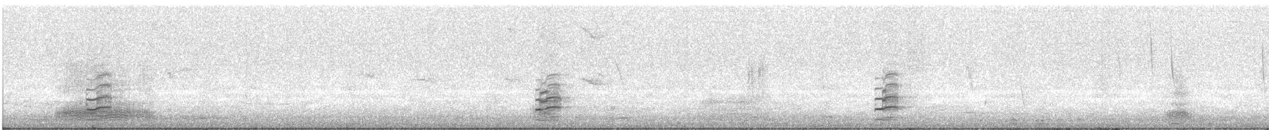 Black-winged Stilt - ML642478298