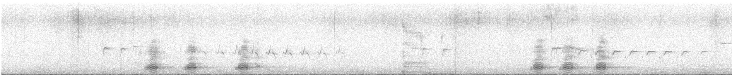 Corvo imperiale - ML642478819