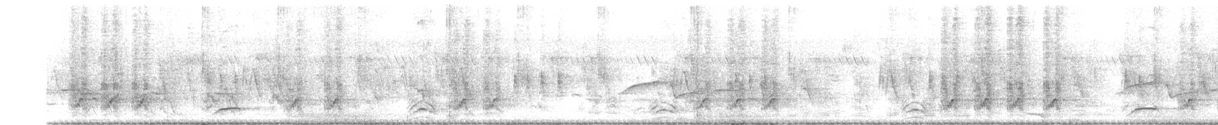 Racket-tailed Treepie - ML642480544