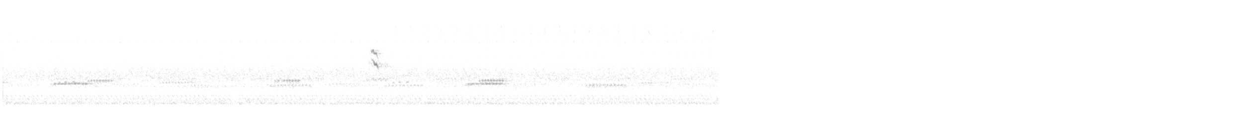 new world sparrow sp. - ML642480766