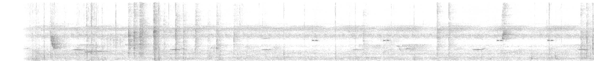 White-rumped Shama (White-rumped) - ML642481487