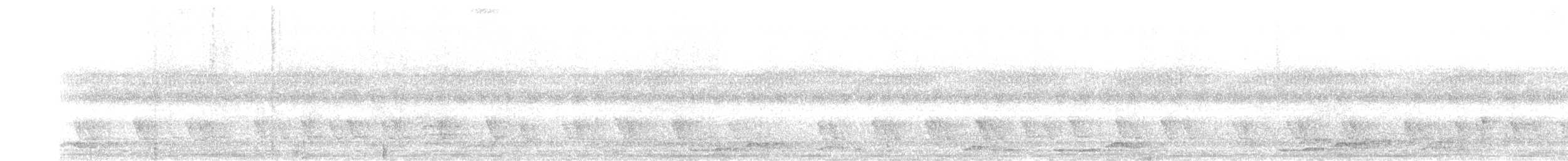 Large Scimitar-Babbler - ML642481544