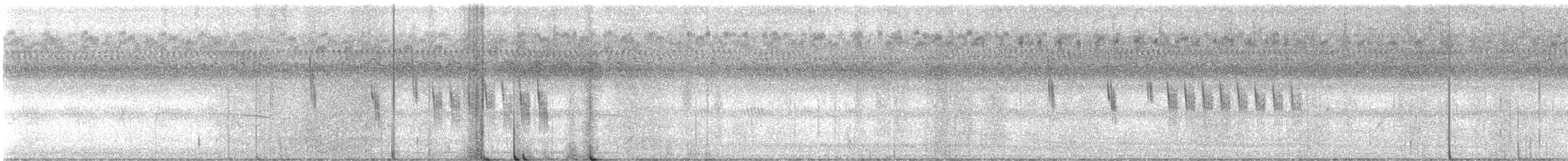 Sedge Wren - ML642481850