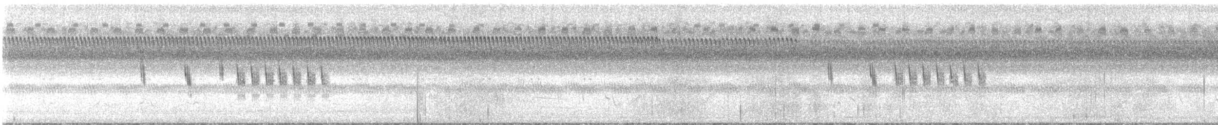 Sedge Wren - ML642481885