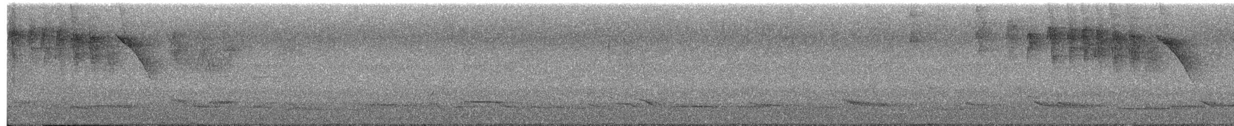 White-necked Thrush - ML642482343