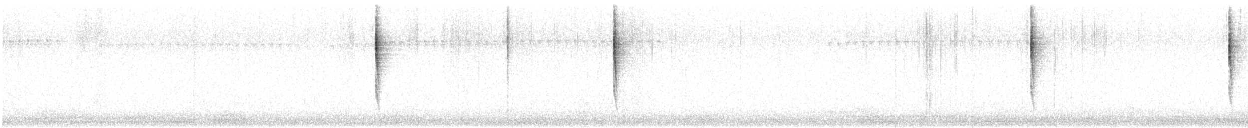 Pacific Wren - ML642483807