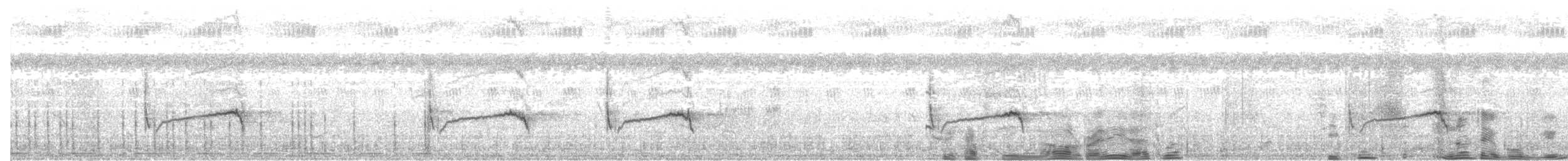 prinia sp. - ML642484541