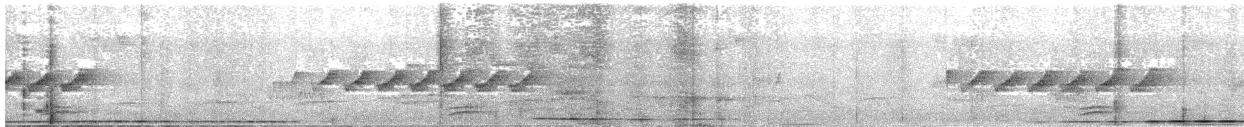 Variegated Antpitta - ML642485095